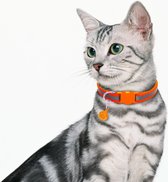 Reflecterende kattenhalsband - Glow in the dark - Fluorescerend Oranje - Veiligheidssluiting - Voor alle rassen - Met belletje - Voorkom ongelukken - Houdt uw kat veilig in he donk