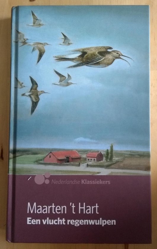 9789491041037 - Een vlucht regenwulpen