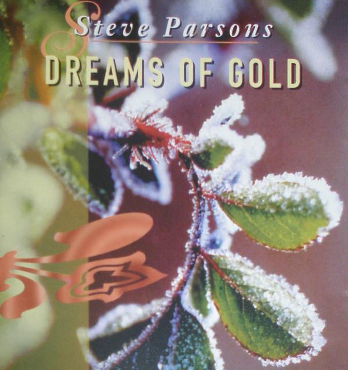 Dreams of gold Steve Parsons