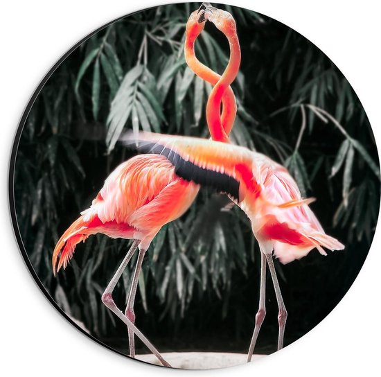 Dibond Wandcirkel - Verliefde Flamingo's  - 20x20cm Foto op Aluminium Wandcirkel (met ophangsysteem)