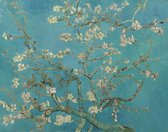 Schilderen Op Nummer Volwassenen - Do It Yourself Paintings - Van Gogh - Amandelbloesem - Kunst - Art - Bloemen - Landschap - 40x50 cm - Canvas