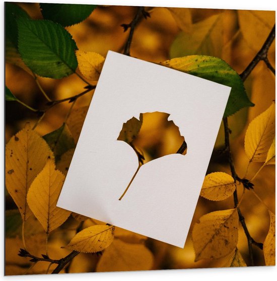 Dibond - Gele Bladeren met Wit Blad - 100x100cm Foto op Aluminium (Wanddecoratie van metaal)