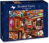 Toy Shoppe Hidden Puzzel 1000