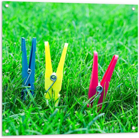 Tuinposter – Gekleurde Wasknijpers in Gras - 80x80cm Foto op Tuinposter  (wanddecoratie voor buiten en binnen)