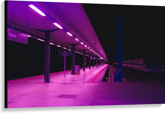 Canvas  - Treinstation met Paars Licht - 120x80cm Foto op Canvas Schilderij (Wanddecoratie op Canvas)