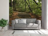Professioneel Fotobehang Houten trap in het bos - groen - Sticky Decoration - fotobehang - decoratie - woonaccesoires - inclusief gratis hobbymesje - 520 cm breed x 350 cm hoog - in 7 verschi