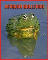 African Bullfrog