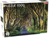 Tactic Dark Hedges in Northern Ireland 1000 pcs Jeu de puzzle 1000 pièce(s) Paysage