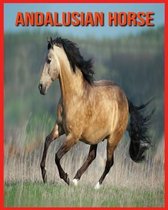 Andalusian Horse