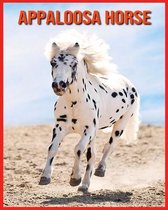 Appaloosa Horse
