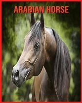 Arabian Horse