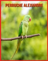 Perruche Alexandre