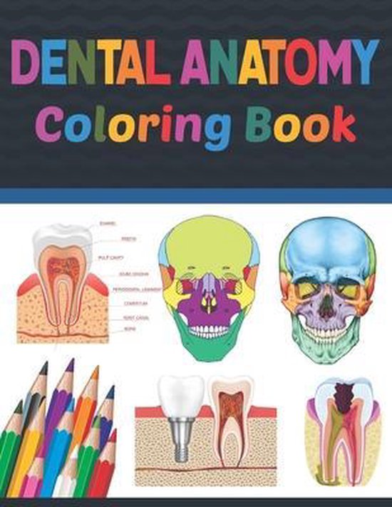 Dental Anatomy Coloring Book 9798706762445 Cambauemniel Publication Boeken
