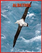 Albatros