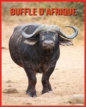 Buffle d'Afrique