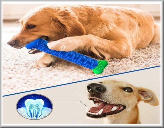 TPR Brosse À Dents Pour Chien Molar Stick, Jouet À Mâcher Pour La