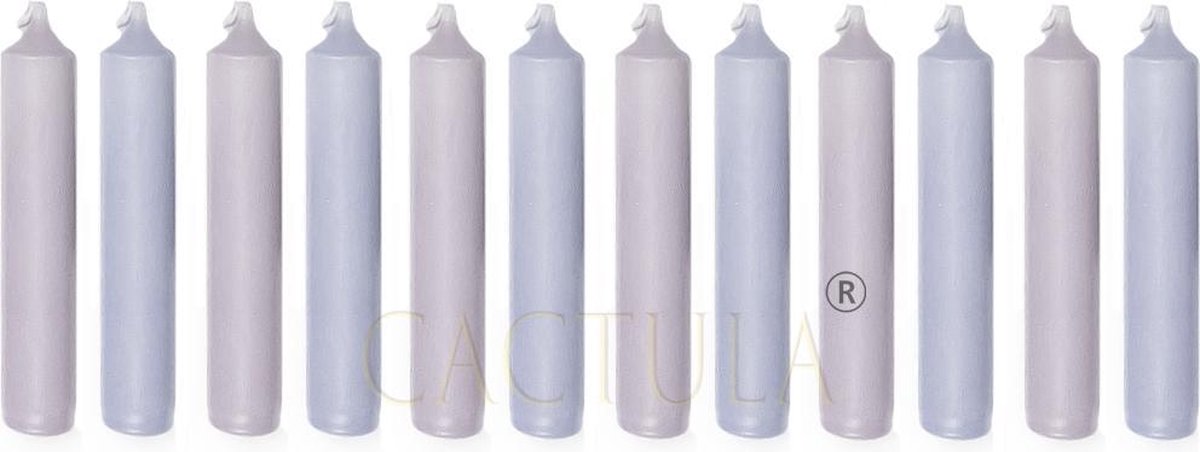 Cactula Dinerkaarsen 12 cm Set van 12 in 2 kleuren - Bloemenveld | Lila / Lavendel