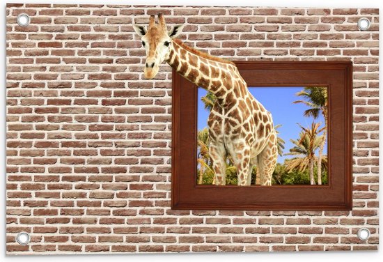 Tuinposter – Giraffe door Raam in Bakstenen Muur - 60x40cm Foto op Tuinposter  (wanddecoratie voor buiten en binnen)