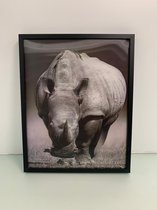 Schilderij - 3D - nijlpaard
