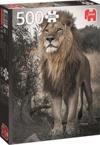 Jumbo Premium Collection Puzzel Proud Lion - Legpuzzel - 500 stukjes