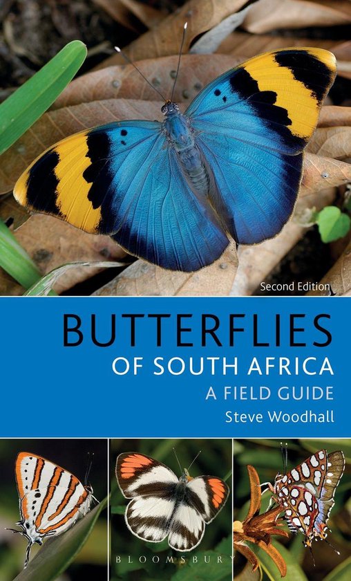 Bloomsbury Naturalist - Field Guide to Butterflies of South  ... - cover
