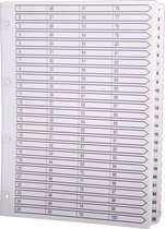 2x Bedrukte tabbladen met geplastificeerde tabs - 1 tot 100 - Mylar Wit, Wit