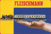 Wandbord - Fleischmann Passagiers Trein -20x30cm