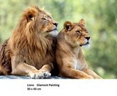 Diamond Painting LEEUWEN 30 x 40 cm / Ronde steentjes/inclusief premium tools - LION AND LIONESS (GRATIS VERZENDING)