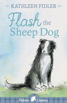 Flash the Sheep Dog