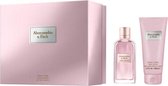 Abercrombie & Fitch - First Instinct for Woman EDP 100 ml + Body Lotion 200 ml - Giftset