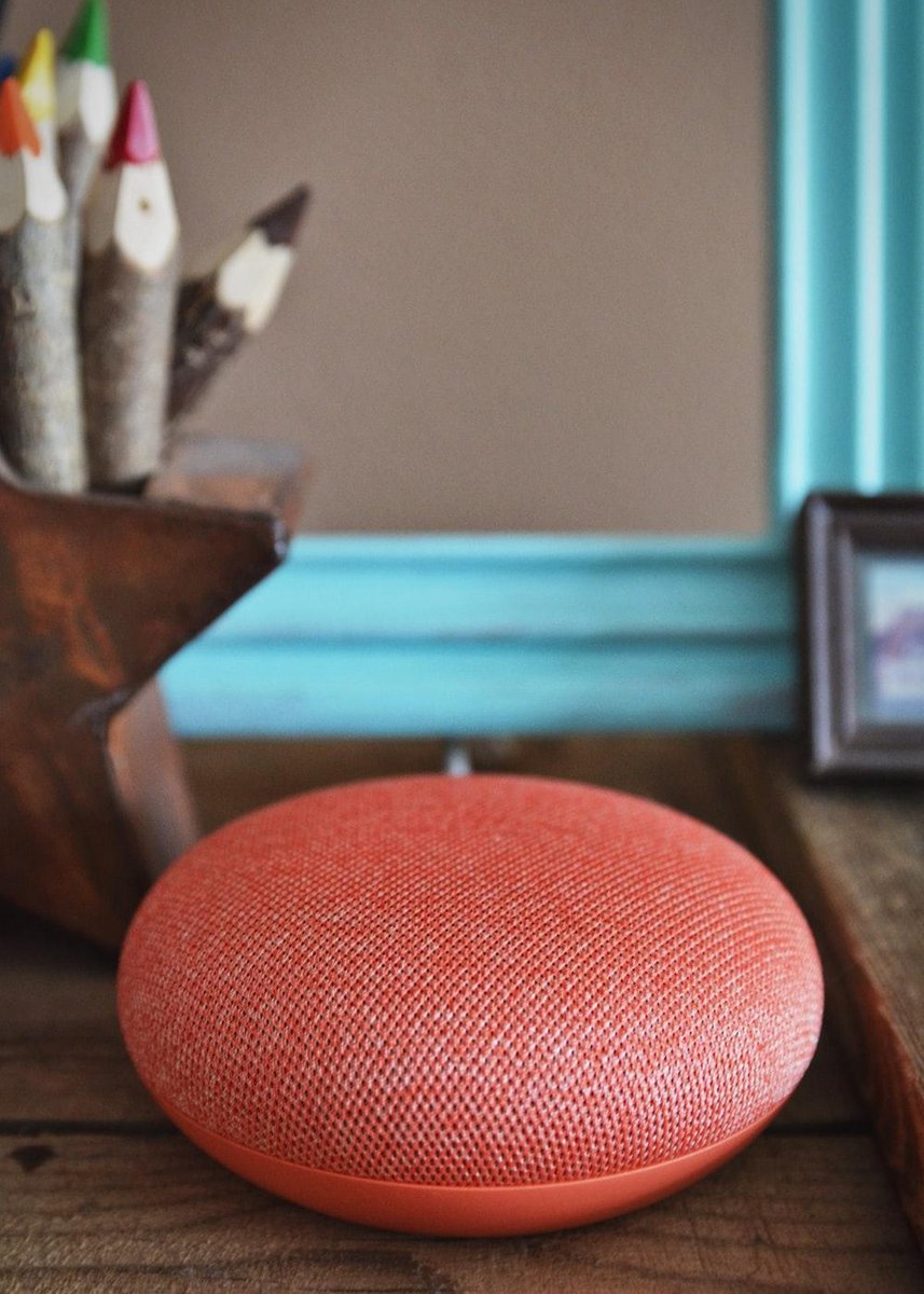 Google Home Mini Smart Speaker Koraal