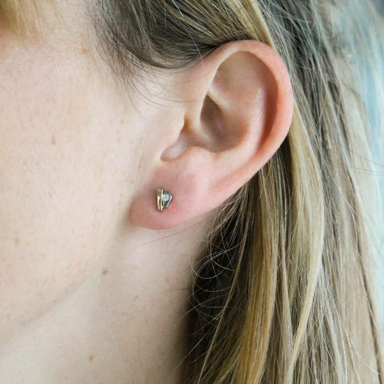 Lucardi - Boucles d'oreilles bicolores avec zircone