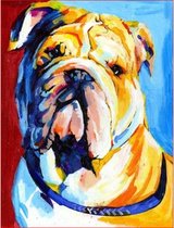 JDBOS ® Schilderen op nummer Volwassenen - Bulldog hond - Dieren - Verven volwassenen - 40x50 cm