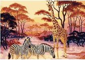 JDBOS ® Schilderen op nummer Volwassenen - Giraffe en zebra's in de natuur - Verven volwassenen - 40x50 cm