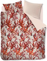 Oilily Orchid Haze Dekbedovertrek - Eenpersoons extra breed - 160x200/220 cm - Red