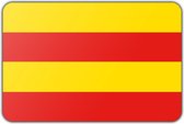 Vlag gemeente Heemstede - 70 x 100 cm - Polyester