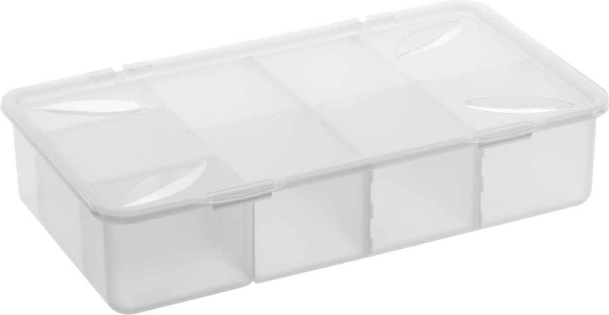 Rotho doos voor kleine onderdelen SNAPPY Transparant 3 L