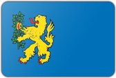 Vlag gemeente Brummen - 70 x 100 cm - Polyester