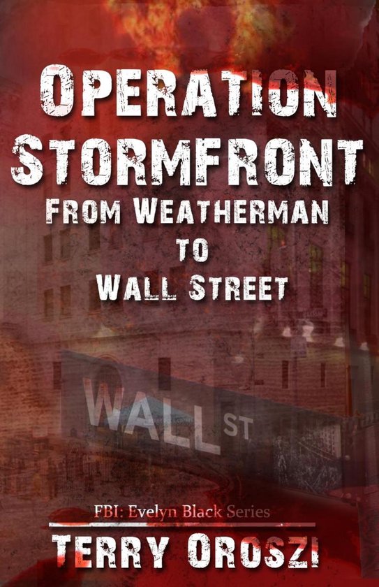 FBI: Evelyn Black Series 1 - Operation Stormfront - cover