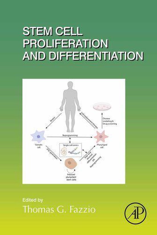 Stem Cell Proliferation and Differentiation (ebook), Thomas G. Fazzio ...