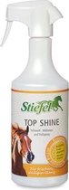 Top Shine 750 ml