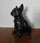 Franse bulldog | zwart | 37 cm | Stoobz design