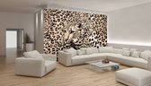 Fotobehangkoning - Behang - Fotobehang - Luipaardprint - Panterprint - Luipaard - Jaguar - Panter - Cheetah - Vliesbehang - 104 x 70,5 cm