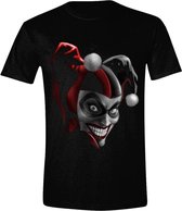 DC Comics - Harley Scary Airbrush Heren T-Shirt - Zwart - XXL