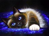 Diamond Painting pakket – ‘Grumpy Cat’ op een Blauwe Deken- 25x20 cm – Volledige bedekking - Vierkante steentjes – Inclusief tools. Ideaal voor beginners, kinderen en volwassenen.