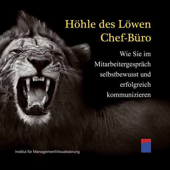 Höhle des Löwen Chef-Büro - cover