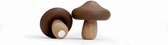 Magneet Shiitake (Neodymium koelkastmagneten en magneetbord magneetjes)