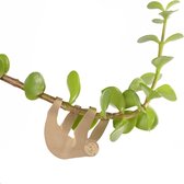 Plant Animals - Swinging Sloth - Playful Creates For Your Plants!
