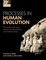 Processes In Human Evolution