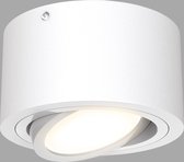 Briloner Leuchten TUBE Spot de plafond - LED - Inclinable - 5W - Ø9cm - Blanc